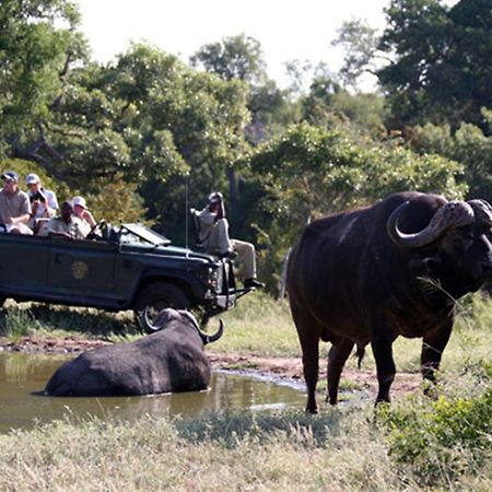 Вилла Umlani Bushcamp Заповедник Тимбавати Экстерьер фото