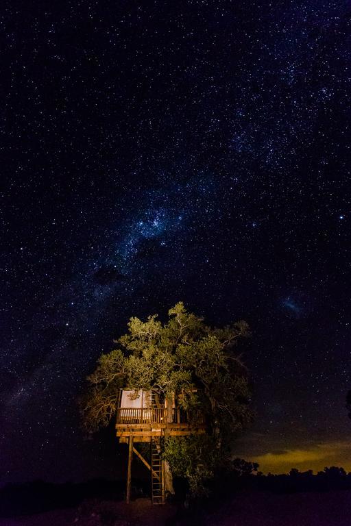 Вилла Umlani Bushcamp Заповедник Тимбавати Экстерьер фото